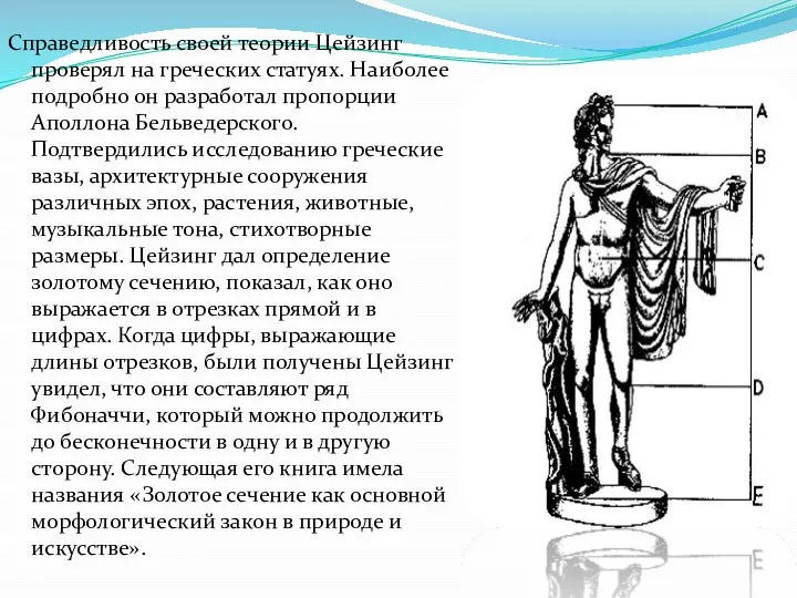 Справедливость своей теории Цейзинг проверял на греческих статуях. Наиболее подробно он