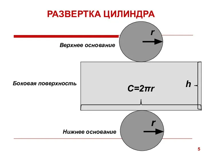 РАЗВЕРТКА ЦИЛИНДРА Верхнее основание Боковая поверхность Нижнее основание