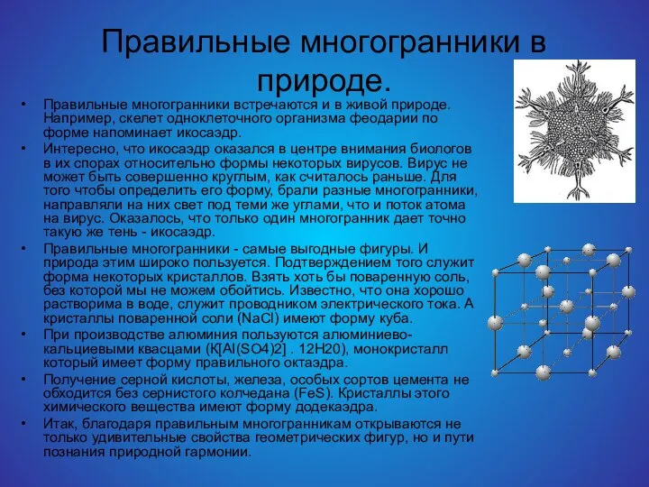 Правильные многогранники в природе. Правильные многогранники встречаются и в живой природе.