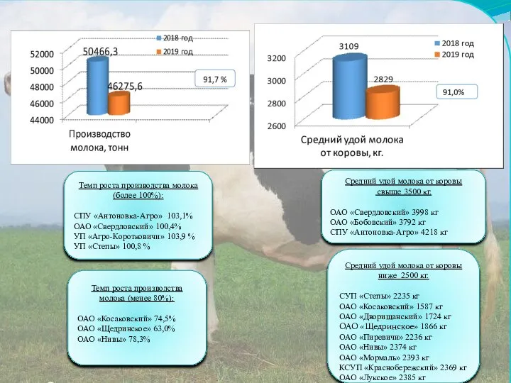 Средний удой молока от коровы свыше 3500 кг. ОАО «Свердловский» 3998