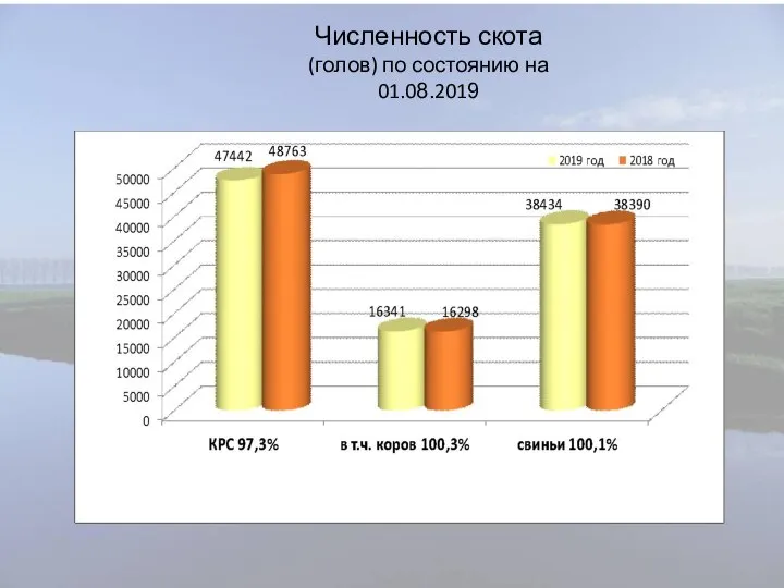 Численность скота (голов) по состоянию на 01.08.2019