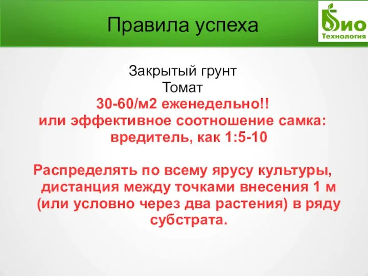 Правила успеха Закрытый грунт Томат 30-60/м2 еженедельно!! или эффективное соотношение самка: