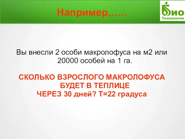 Например,….. Вы внесли 2 особи макролофуса на м2 или 20000 особей