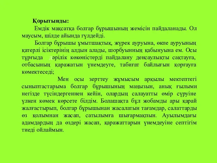 Қорытынды: Емдік мақсатқа болгар бұрышының жемісін пайдаланады. Ол маусым, шілде айында