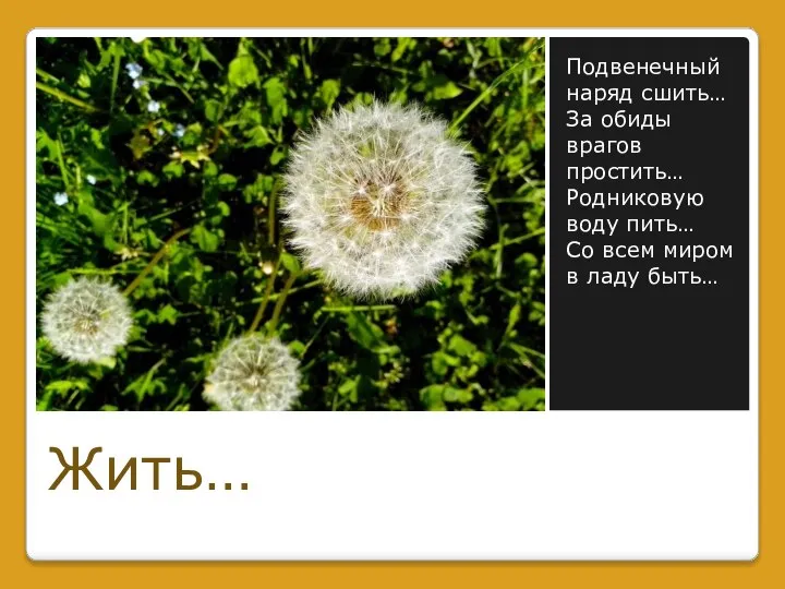 Подвенечный наряд сшить… За обиды врагов простить… Родниковую воду пить… Со