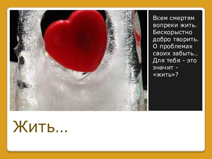 Всем смертям вопреки жить. Бескорыстно добро творить. О проблемах своих забыть…