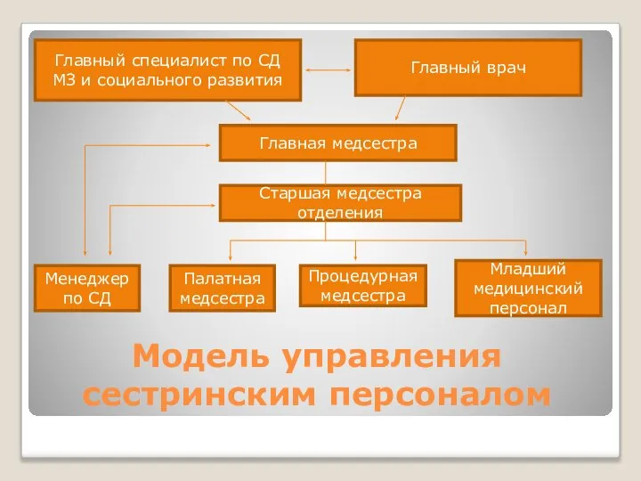 Модель управления сестринским персоналом Главный специалист по СД МЗ и социального