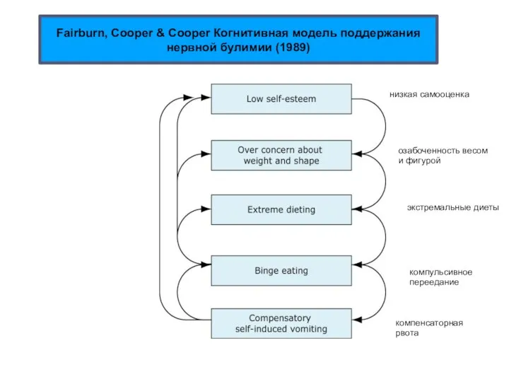 низкая самооценка озабоченность весом и фигурой экстремальные диеты компульсивное переедание компенсаторная рвота