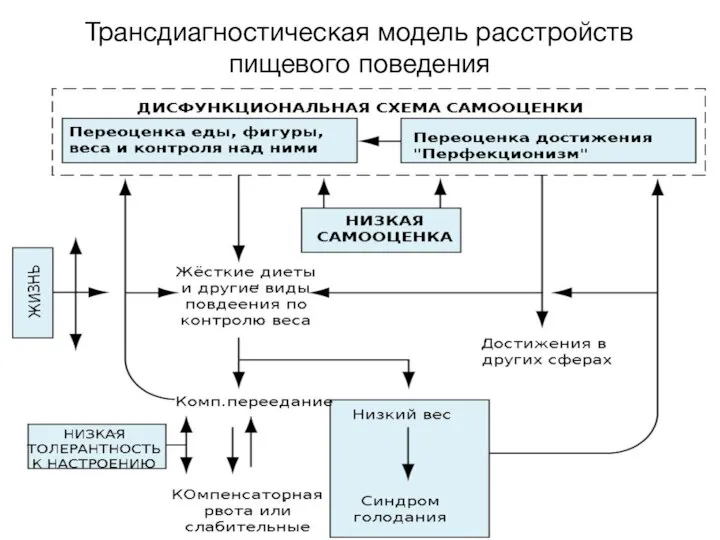 Трансдиагностическая модель расстройств пищевого поведения