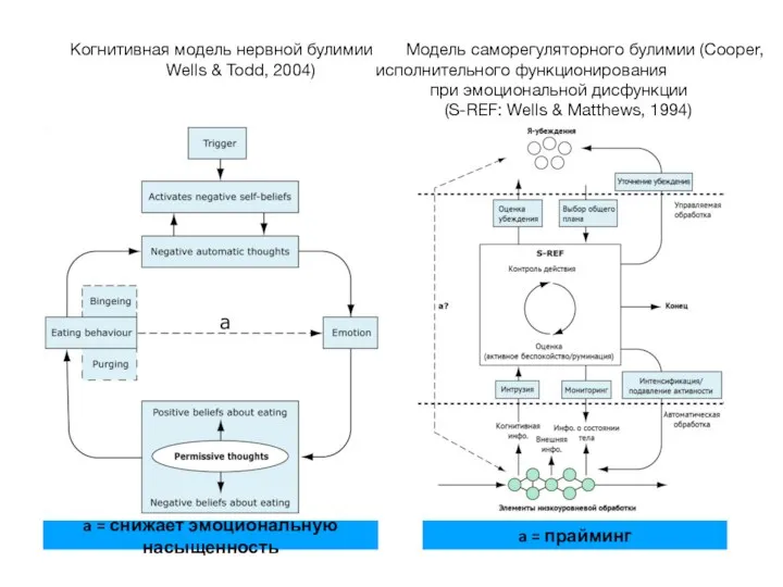 Когнитивная модель нервной булимии Модель саморегуляторного булимии (Cooper, Wells & Todd,