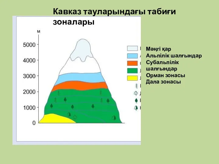 Мәңгі қар Альпілік шалғындар Субальпілік шалғындар Орман зонасы Дала зонасы Кавказ тауларындағы табиғи зоналары