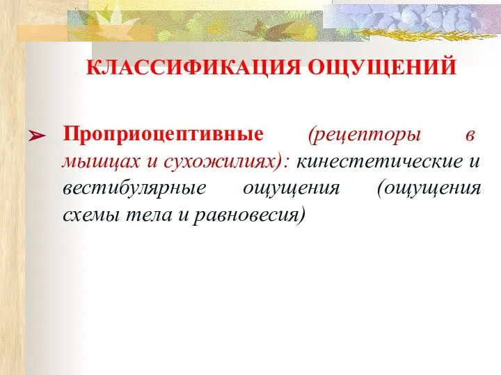 КЛАССИФИКАЦИЯ ОЩУЩЕНИЙ Проприоцептивные (рецепторы в мышцах и сухожилиях): кинестетические и вестибулярные