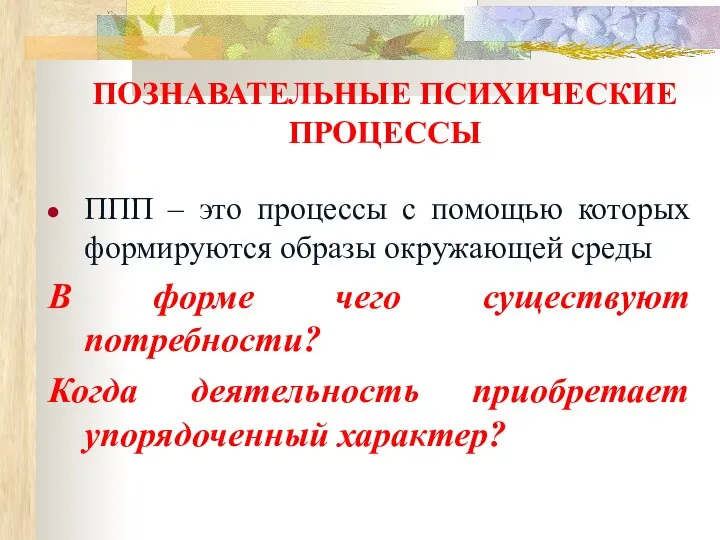 ПОЗНАВАТЕЛЬНЫЕ ПСИХИЧЕСКИЕ ПРОЦЕССЫ ППП – это процессы с помощью которых формируются