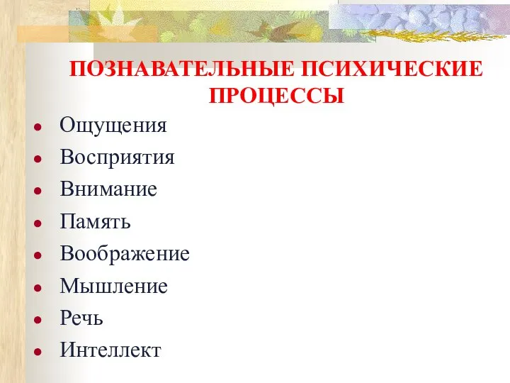 ПОЗНАВАТЕЛЬНЫЕ ПСИХИЧЕСКИЕ ПРОЦЕССЫ Ощущения Восприятия Внимание Память Воображение Мышление Речь Интеллект