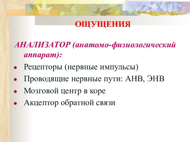 ОЩУЩЕНИЯ АНАЛИЗАТОР (анатомо-физиологический аппарат): Рецепторы (нервные импульсы) Проводящие нервные пути: АНВ,