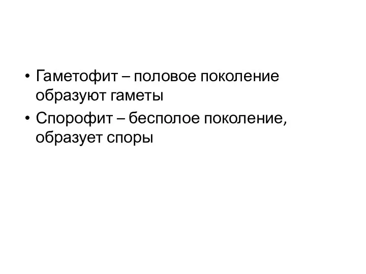 Гаметофит – половое поколение образуют гаметы Спорофит – бесполое поколение, образует споры