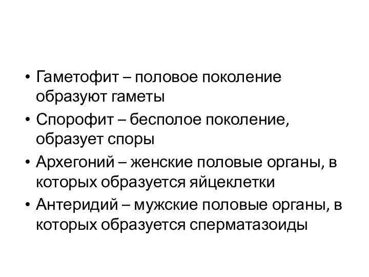 Гаметофит – половое поколение образуют гаметы Спорофит – бесполое поколение, образует