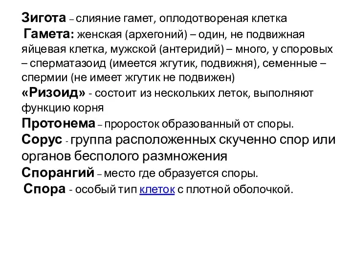 Зигота – слияние гамет, оплодотвореная клетка Гамета: женская (архегоний) – один,