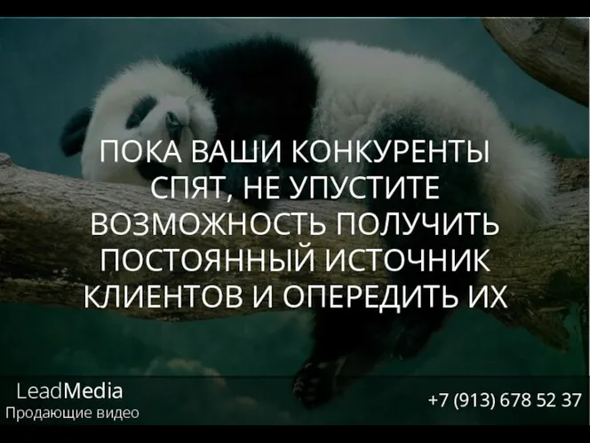 LeadMedia Продающие видео +7 (913) 678 52 37 ПОКА ВАШИ КОНКУРЕНТЫ