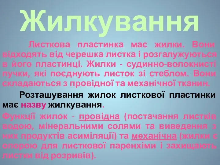 Жилкування Листкова пластинка має жилки. Вони відходять від черешка листка і