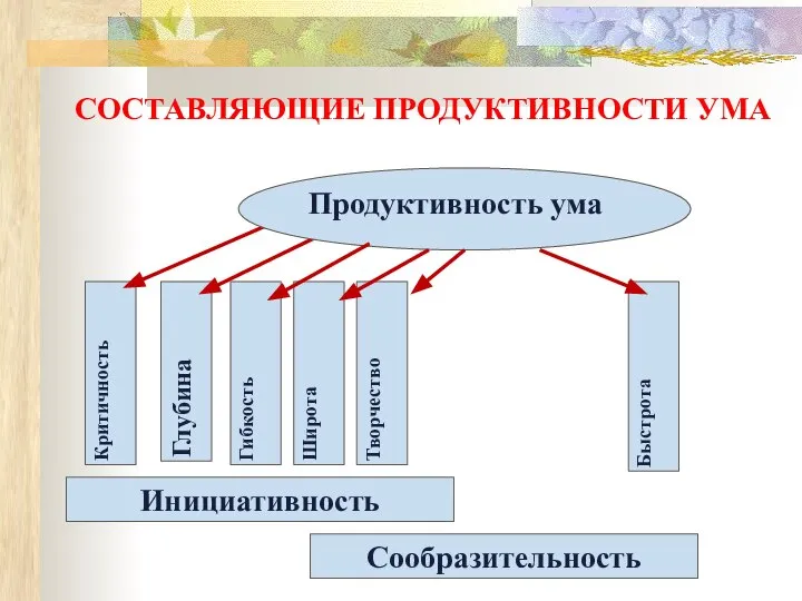 СОСТАВЛЯЮЩИЕ ПРОДУКТИВНОСТИ УМА Глубина