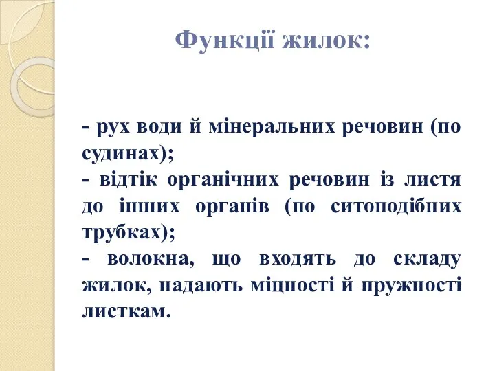 Функції жилок: - рух води й мінеральних речовин (по судинах); -