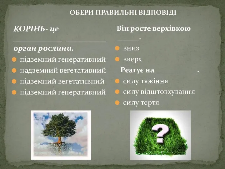 ОБЕРИ ПРАВИЛЬНІ ВІДПОВІДІ КОРІНЬ- це ____________ __________ орган рослини. підземний генеративний