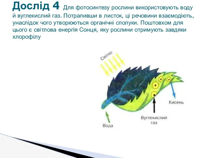 Дослід 4 Для фотосинтезу рослини використовують воду й вуглекислий газ. Потрапивши