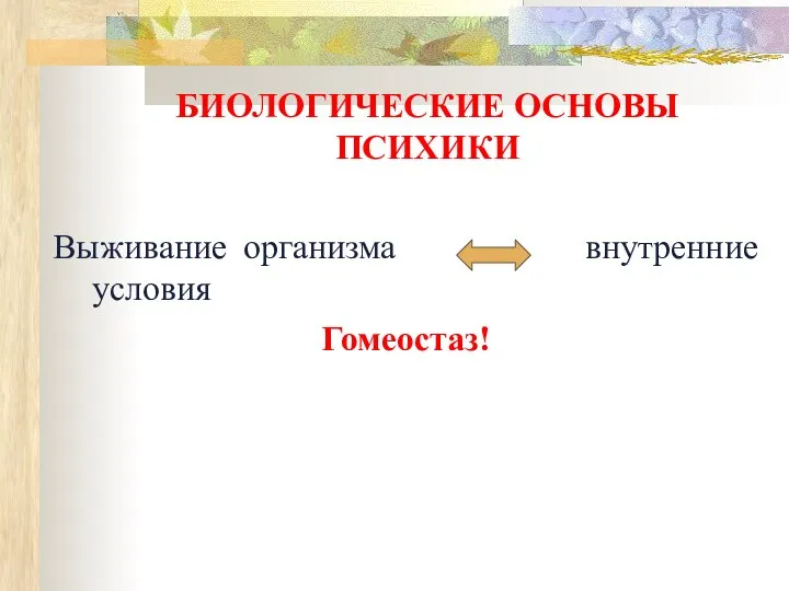 БИОЛОГИЧЕСКИЕ ОСНОВЫ ПСИХИКИ Выживание организма внутренние условия Гомеостаз!