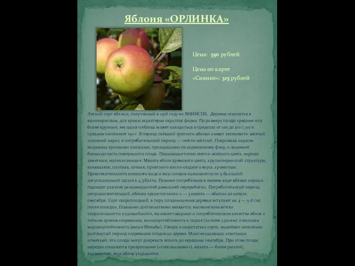 Яблоня «ОРЛИНКА» Летний сорт яблони, полученный в 1978 году во ВНИИСПК.