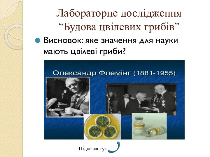 Лабораторне дослідження “Будова цвілевих грибів” Висновок: яке значення для науки мають цвілеві гриби? Підказка тут