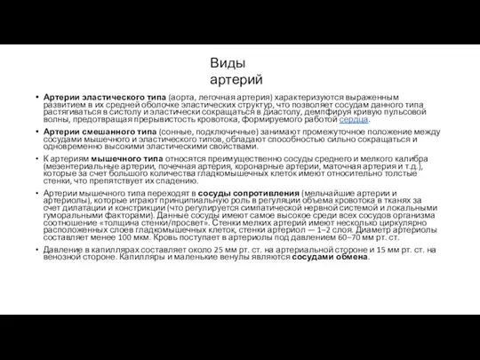 Артерии эластического типа (аорта, легочная артерия) характеризуются выраженным развитием в их