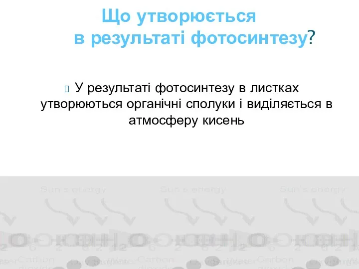 У результаті фотосинтезу в листках утворюються органічні сполуки і виділяється в