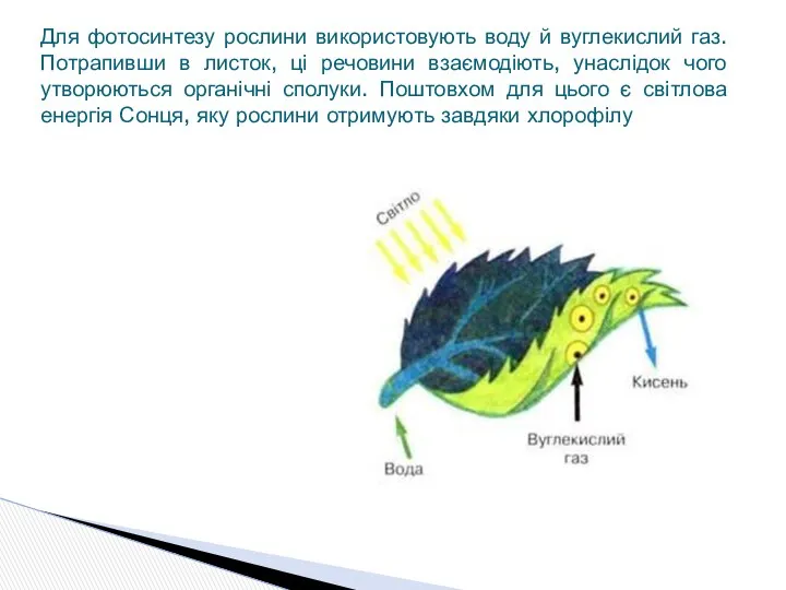 Для фотосинтезу рослини використовують воду й вуглекислий газ. Потрапивши в листок,