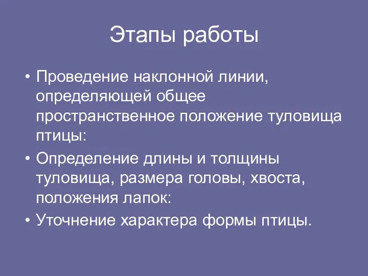 Этапы работы Проведение наклонной линии, определяющей общее пространственное положение туловища птицы: