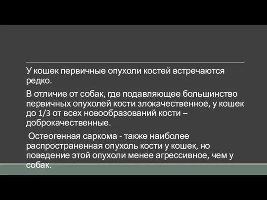 У кошек первичные опухоли костей встречаются редко. В отличие от собак,