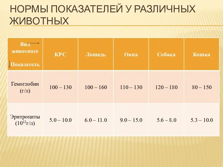 НОРМЫ ПОКАЗАТЕЛЕЙ У РАЗЛИЧНЫХ ЖИВОТНЫХ