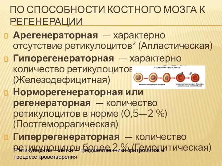 ПО СПОСОБНОСТИ КОСТНОГО МОЗГА К РЕГЕНЕРАЦИИ Арегенераторная — характерно отсутствие ретикулоцитов*