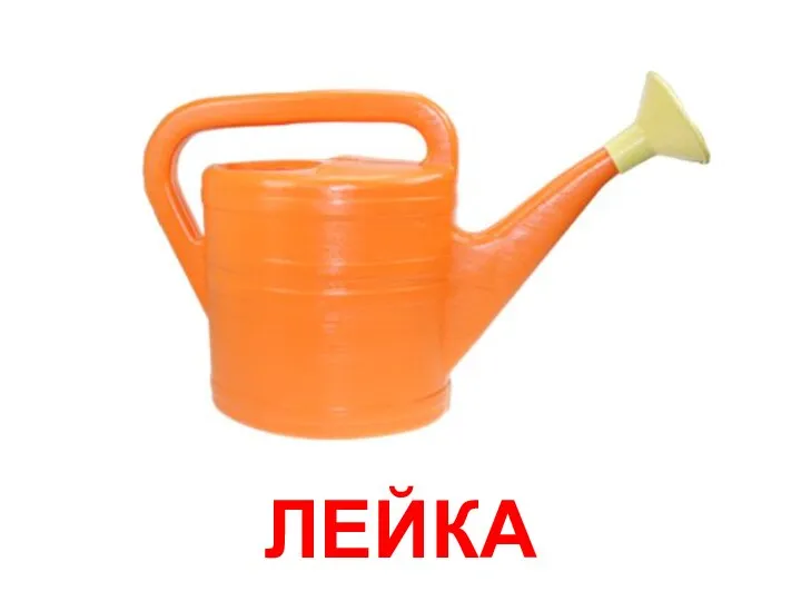 ЛЕЙКА