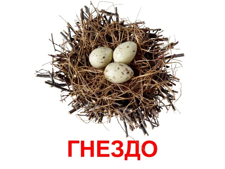 ГНЕЗДО