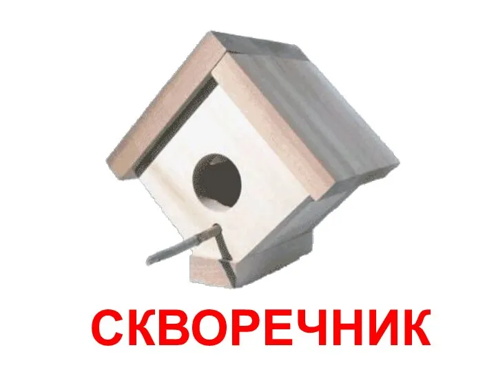 СКВОРЕЧНИК