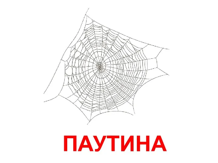 ПАУТИНА