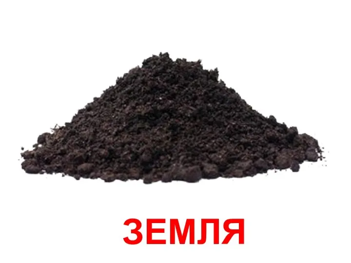 ЗЕМЛЯ