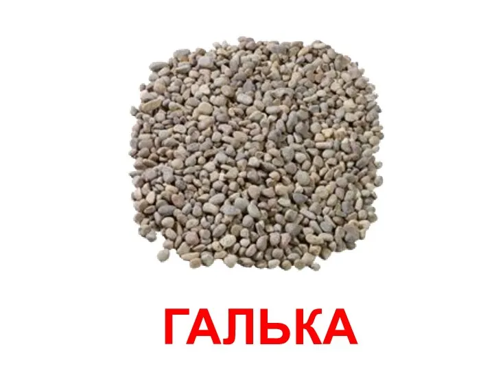 ГАЛЬКА