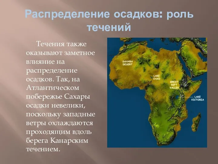 Распределение осадков: роль течений Течения также оказывают заметное влияние на распределение