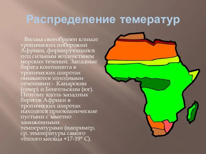 Распределение темератур Весьма своеобразен климат тропических побережий Африки, формирующийся под сильным