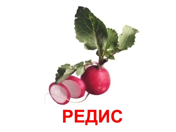 РЕДИС