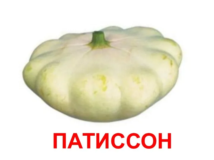 ПАТИССОН