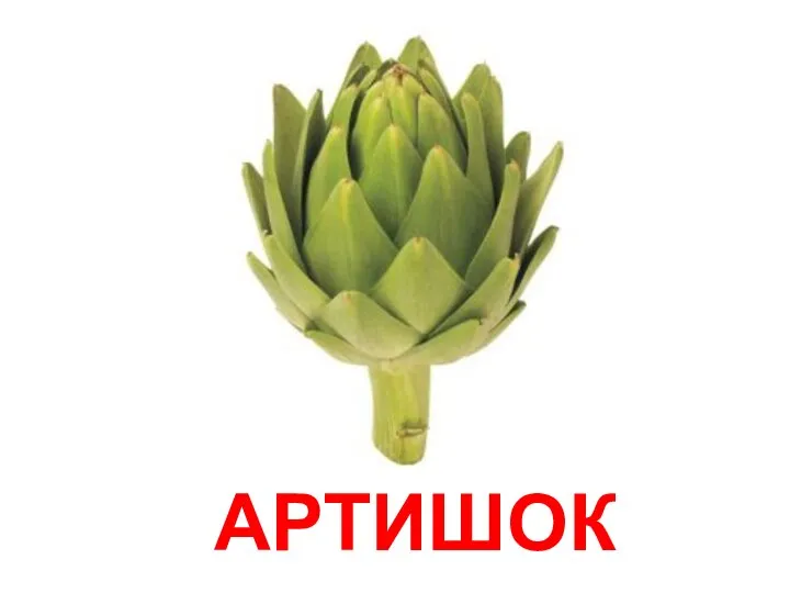 АРТИШОК