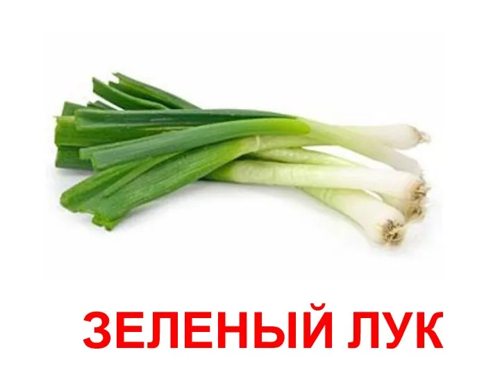 ЗЕЛЕНЫЙ ЛУК